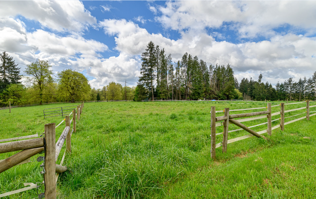 Amazing Farmhouse & Equestrian Property